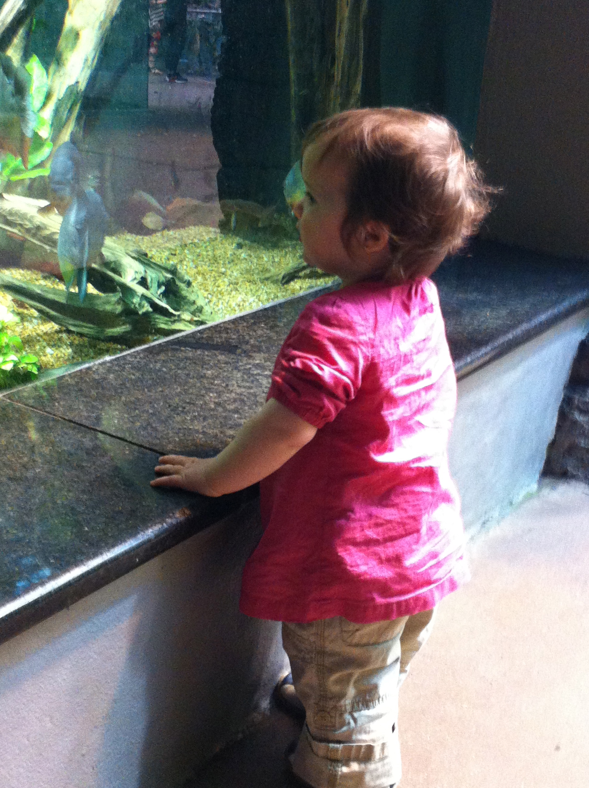 Bella enjoys the exhibits at Biodome Bella enjoys the exhibits at Biodome